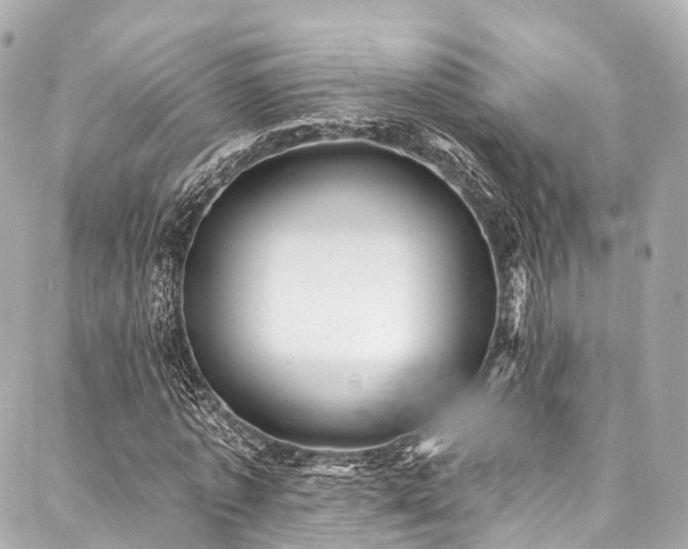 X0000088060773200705111332