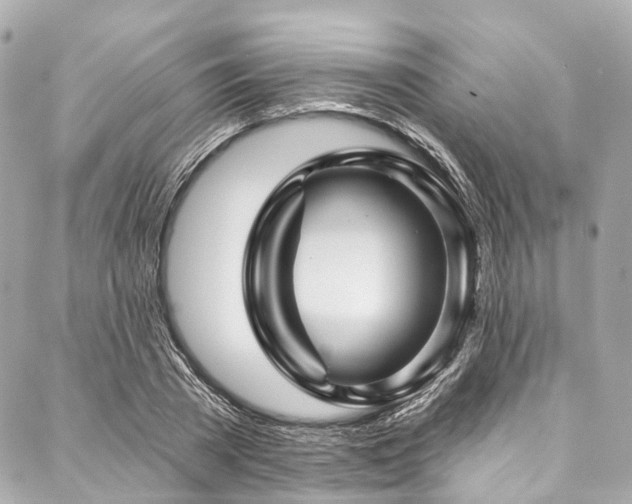 X0000088060785200705111332