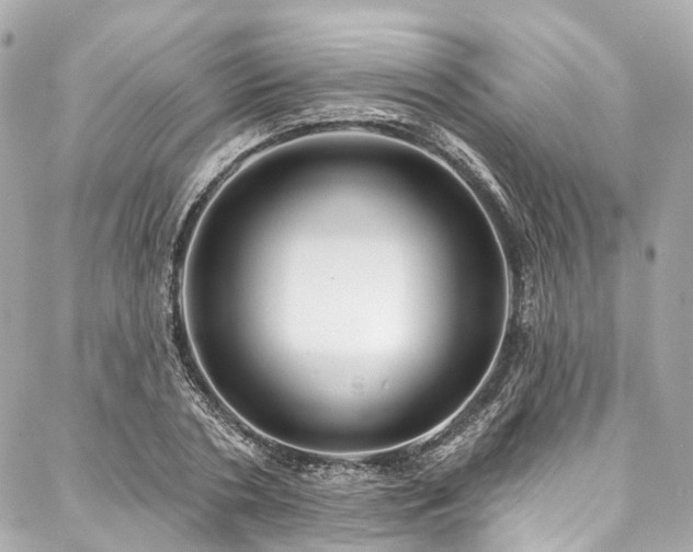 X0000088060786200705111332