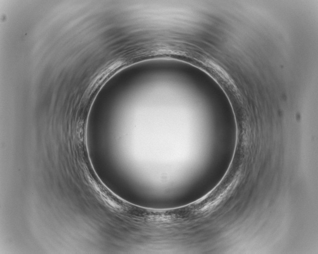 X0000088060793200705111332