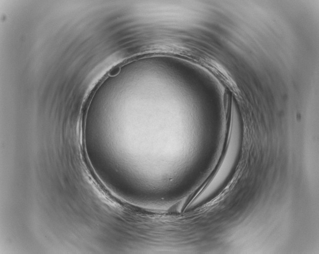 X0000088060796200705111332