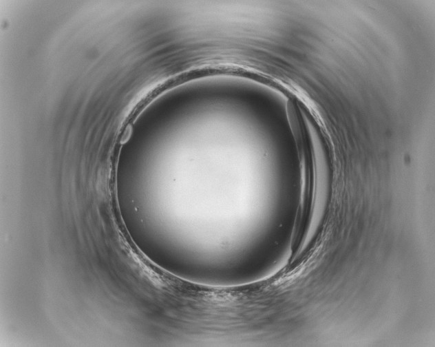 X0000088060799200705111332