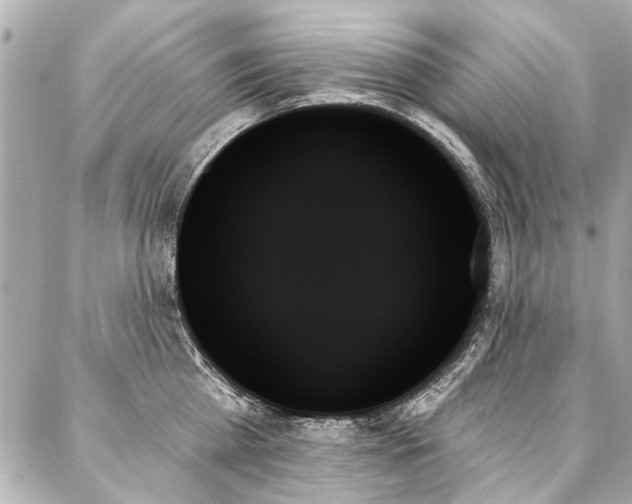 X0000088060809200705111331