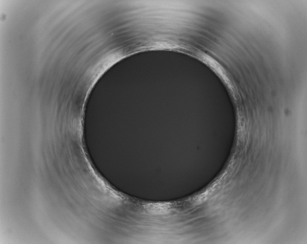 X0000088060810200705111331