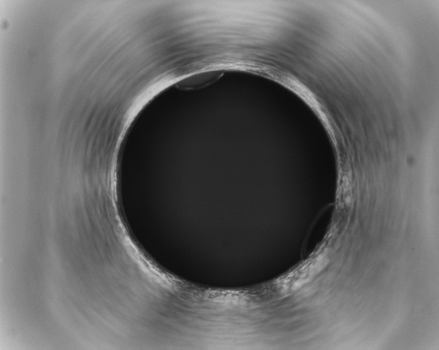 X0000088060811200705111331