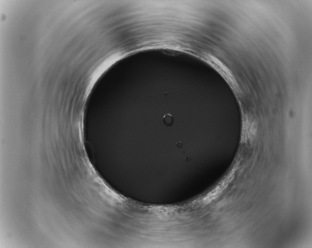 X0000088060812200705111331