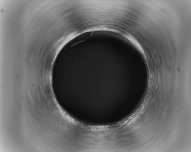 X0000088060813200705111331