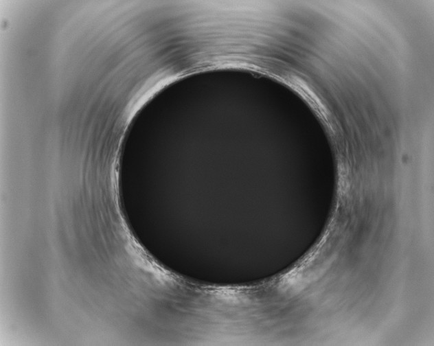 X0000088060814200705111331