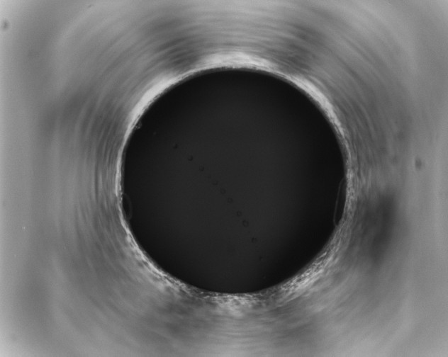 X0000088060815200705111331