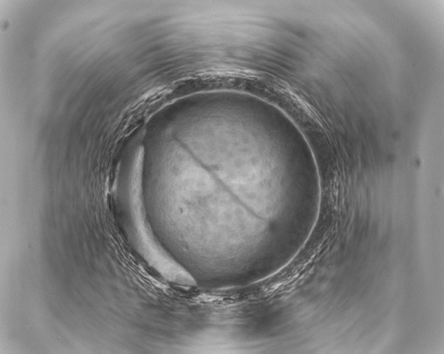 X0000088060821200705111331