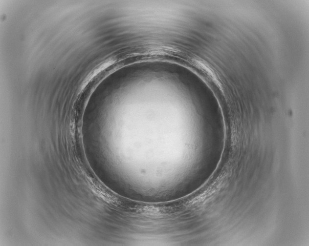 X0000088060827200705111331