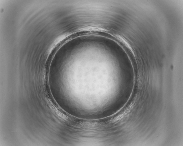 X0000088060831200705111331