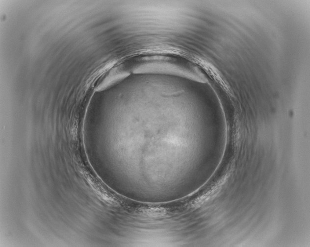 X0000088060833200705111331
