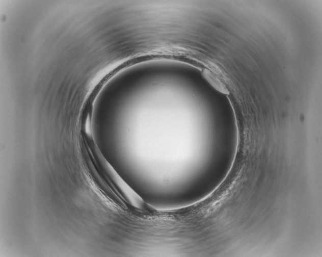 X0000088060838200705111331