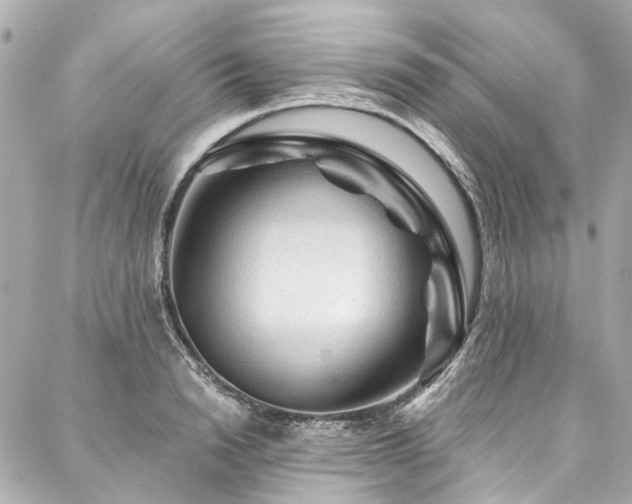 X0000088060846200705111331