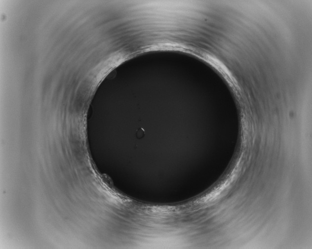 X0000088060857200705111331