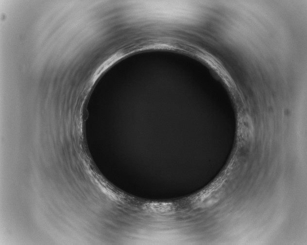 X0000088060858200705111331