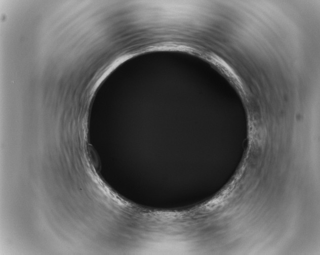 X0000088060860200705111331
