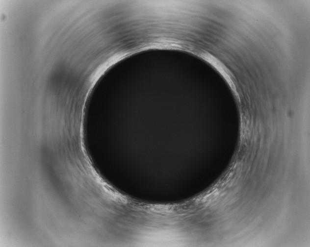 X0000088060861200705111331