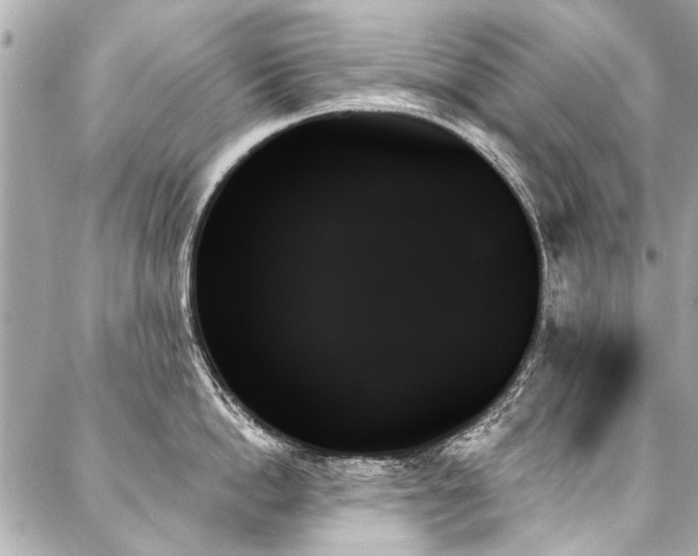 X0000088060862200705111331