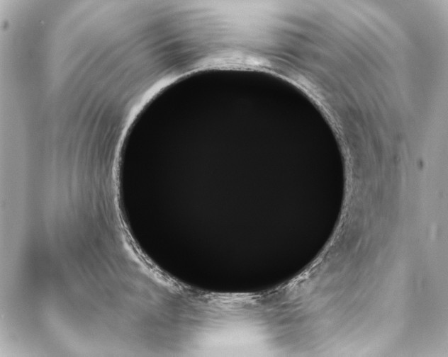 X0000088060864200705111331