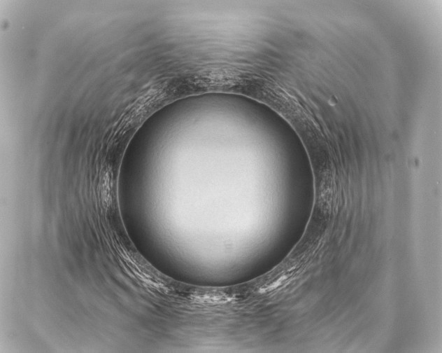X0000088060866200705111330