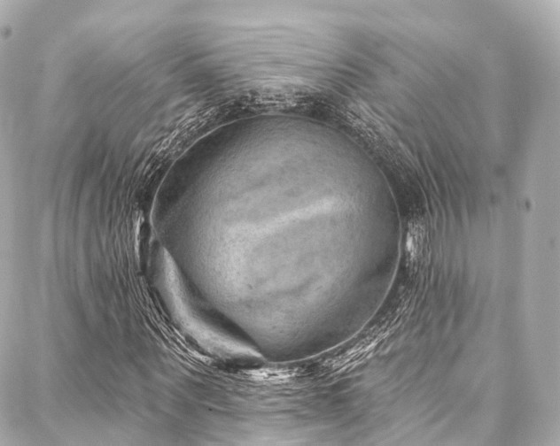 X0000088060867200705111330