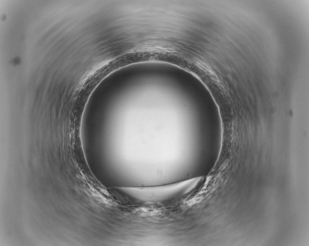X0000088060872200705111330