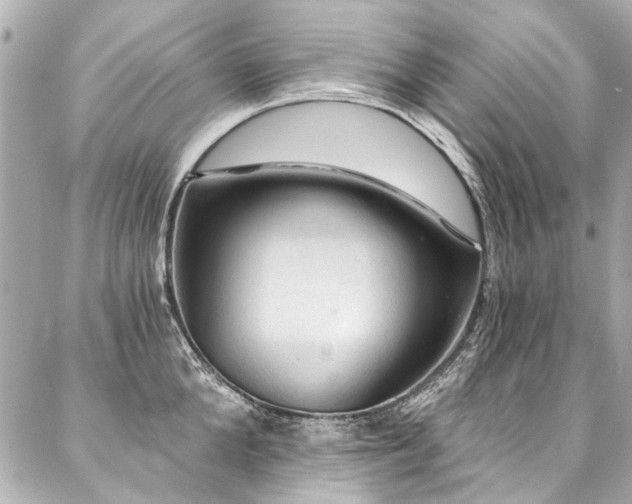 X0000088060904200705111330