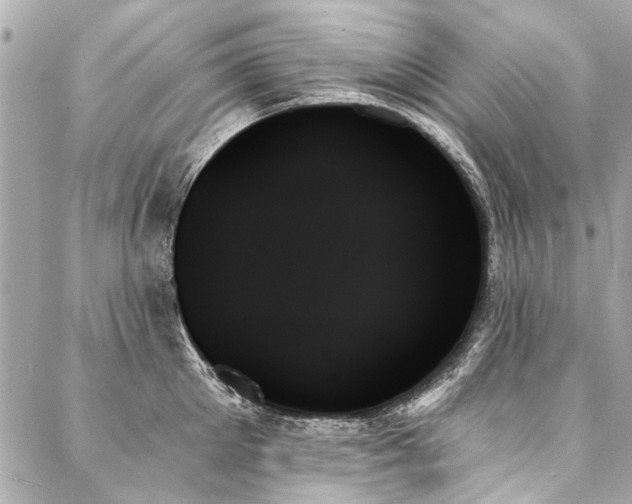 X0000088060905200705111330