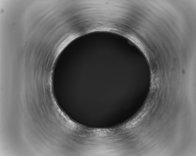 X0000088060906200705111330