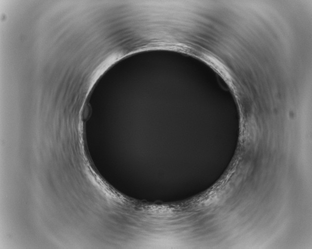 X0000088060907200705111330