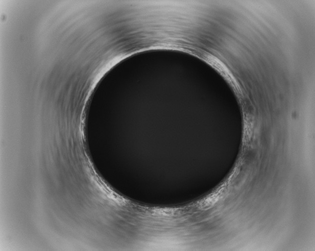 X0000088060908200705111330