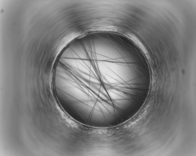 X0000088060909200705111330