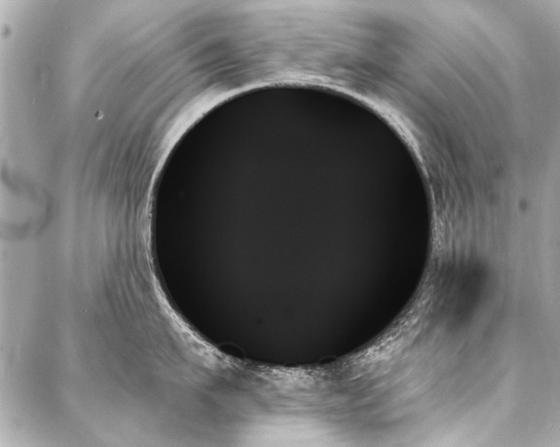 X0000088060911200705111330