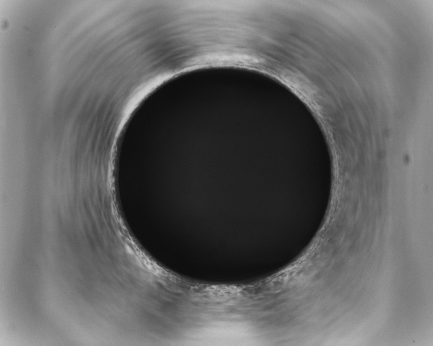 X0000088060912200705111330