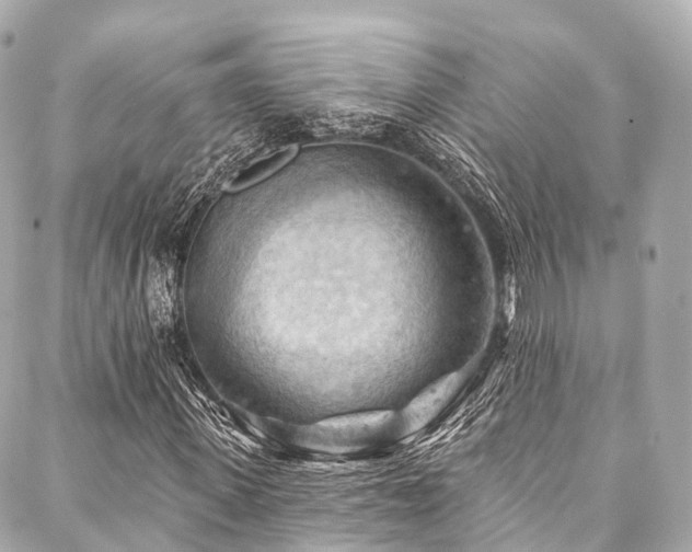 X0000088060915200705111329