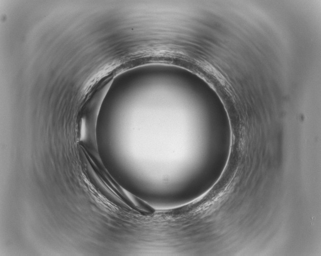 X0000088060922200705111329