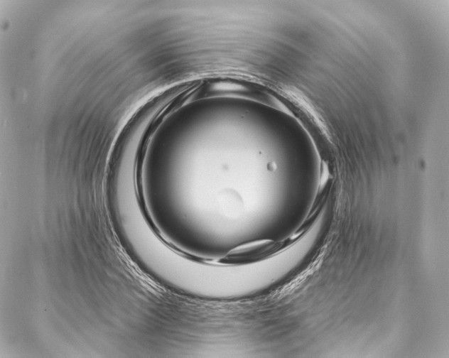 X0000088060924200705111329