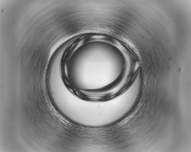 X0000088060928200705111329