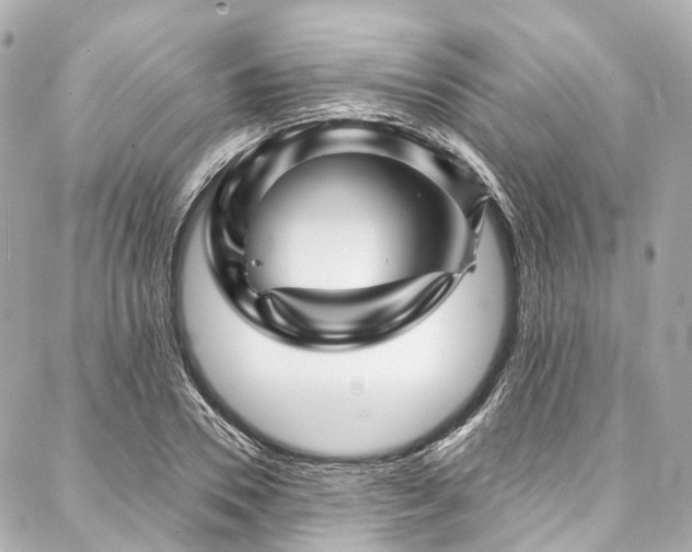 X0000088060930200705111329
