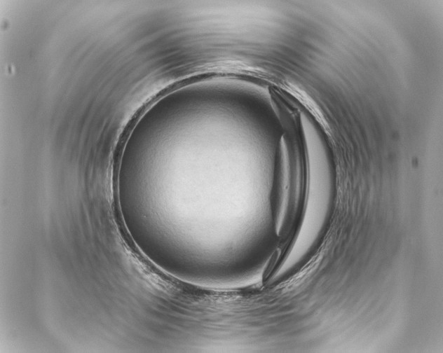 X0000088060939200705111329