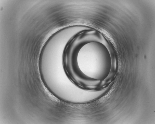 X0000088060942200705111329