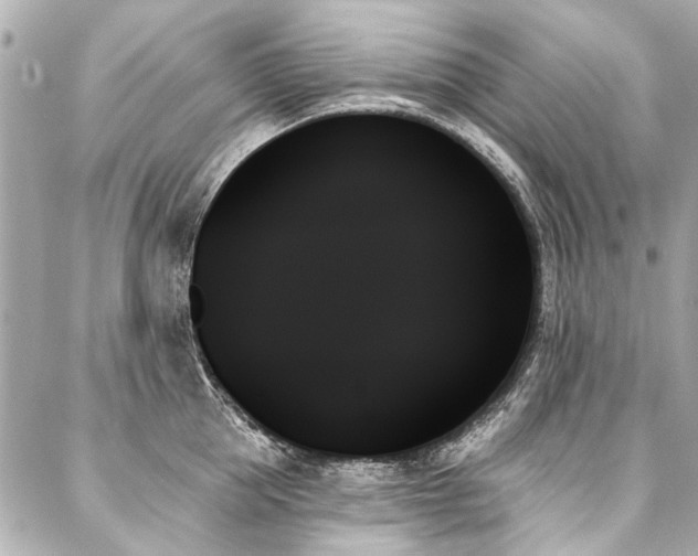 X0000088060953200705111330