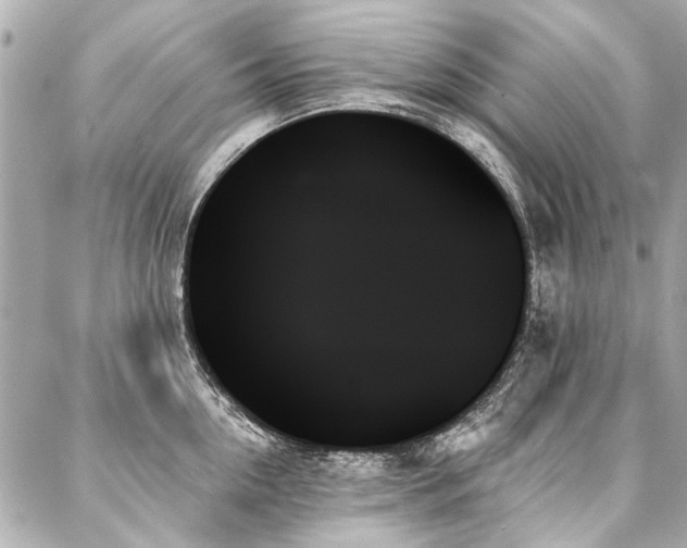 X0000088060954200705111330