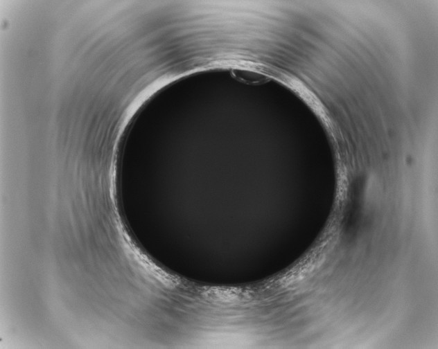 X0000088060955200705111330