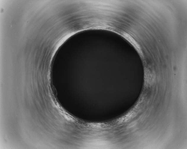 X0000088060956200705111330