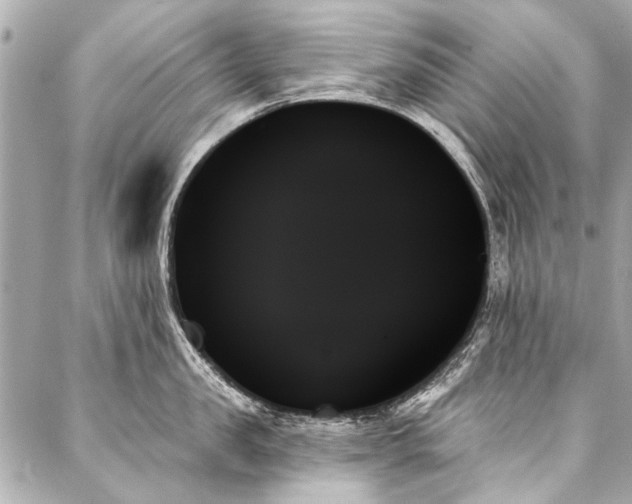 X0000088060957200705111330