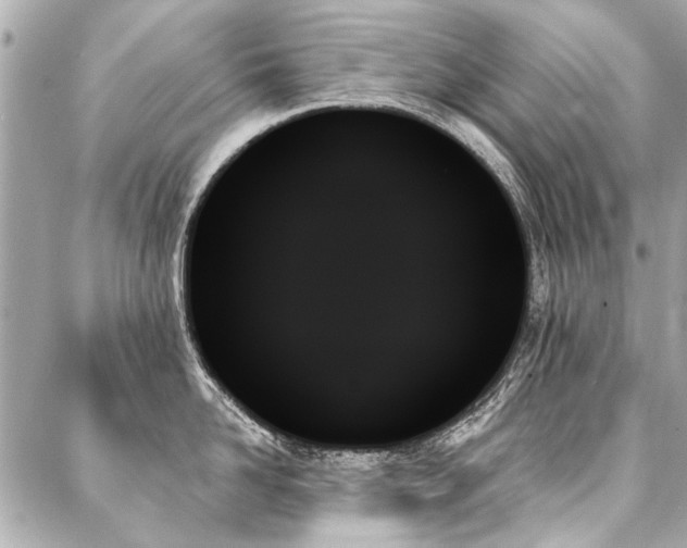 X0000088060958200705111330