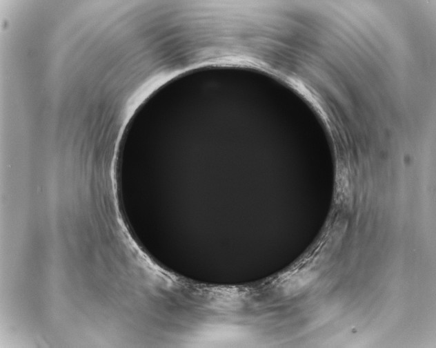 X0000088060959200705111330